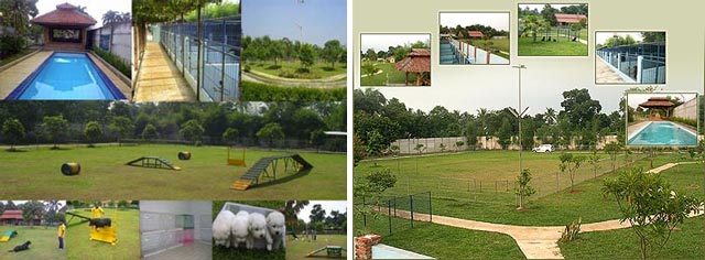 Promo Rumah Terraria September Ceria