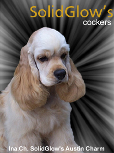 SolidGlow Cockers