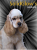 SolidGlow Cockers