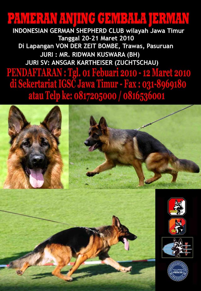 Pameran Anjing Gembala Jerman Jawa Timur