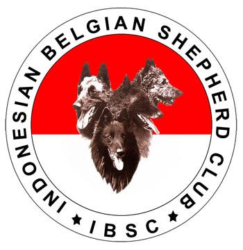 Rapat Anggota & Penggemar Klub Belgian Shepherd Indonesia