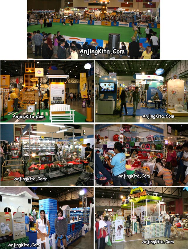 Tour Sambil Nonton International Thailand Dog Show