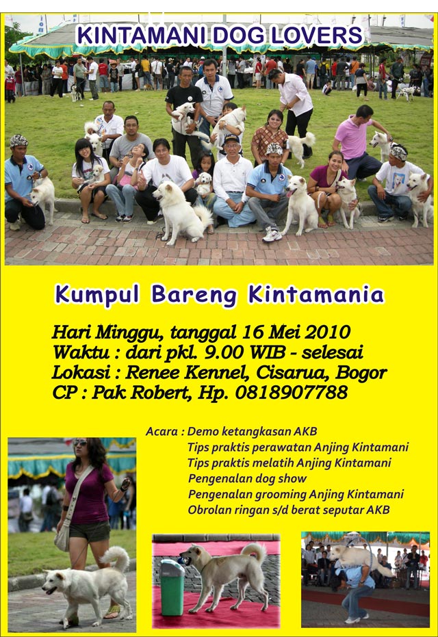 Kumpul Bareng Kintamania