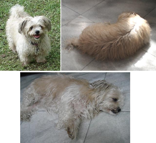 Imbalan Rp.1 juta Jika Menemukan Si Kecil !!! (Sudah Ditemukan)