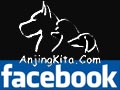 AnjingKita.Com on Facebook