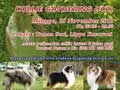 Collie Gathering (ICC)