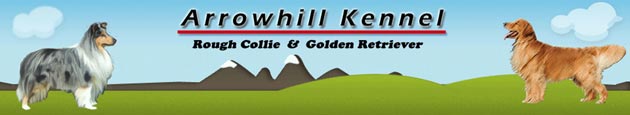 Arrowhill Kennel 
