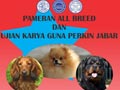 Perkin Jabar All Breed & Karya Guna