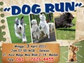 My Pets Dog Run & Seminar Toksoplasma
