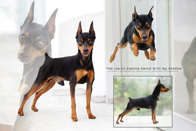 INA.THAI.CH.Gianina Dance With My Shadow