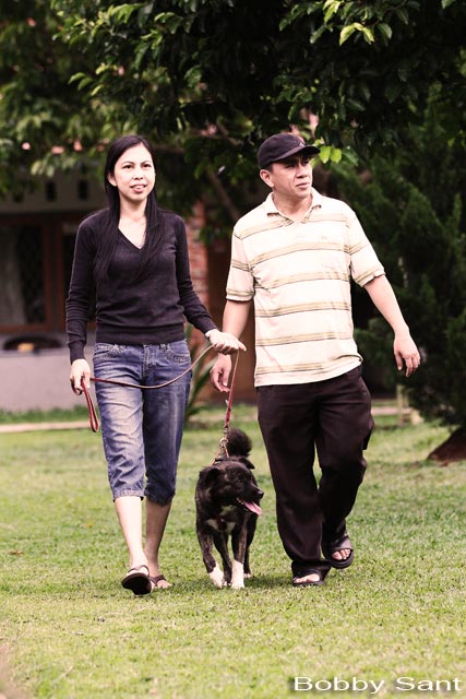 Aturan dan Etika Membawa Anjing ke Taman