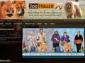 www.joehauze.com