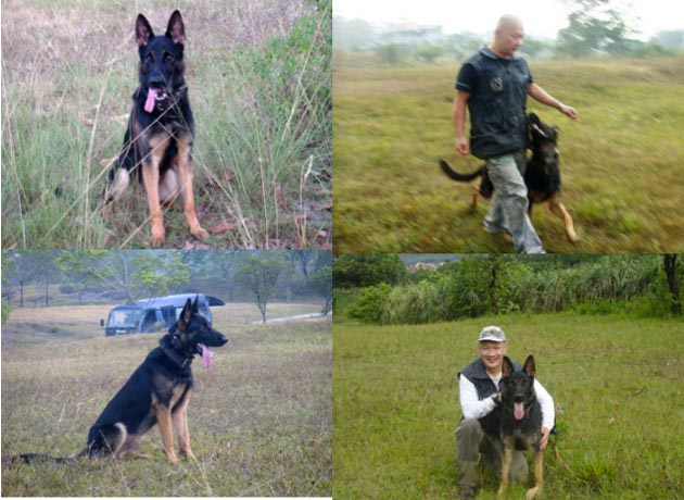 Lux Vom Soester Bahndamm