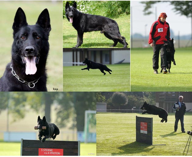 Erros vom Haus Lohre