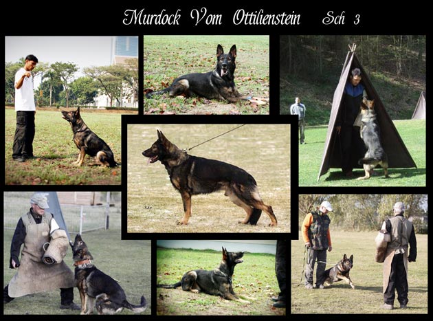 Murdock Vom Ottilienstein