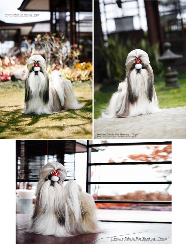 Treasure Nebula Gun Shooting