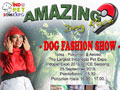 Dog Fashion Show - Tema : Pokemon & Anime