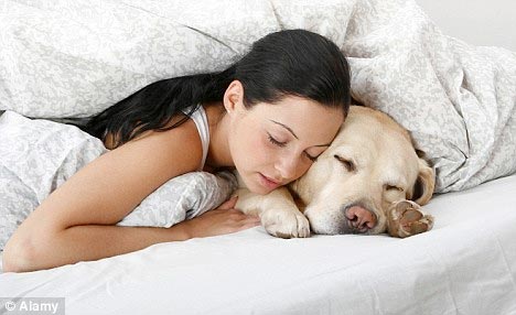 Tidur Bersama Anjing Lebih Cepat Pulas
