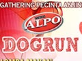 Alpo Dog Run November - Semarang