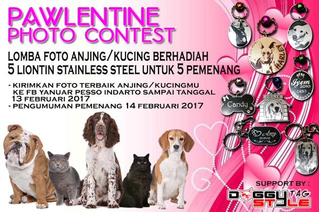 Pawlentine Photo Contest