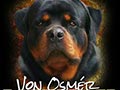 Pejantan Rottweiler : Byson von Osmer