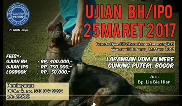 Ujian BH/IPO Perkin Jaya