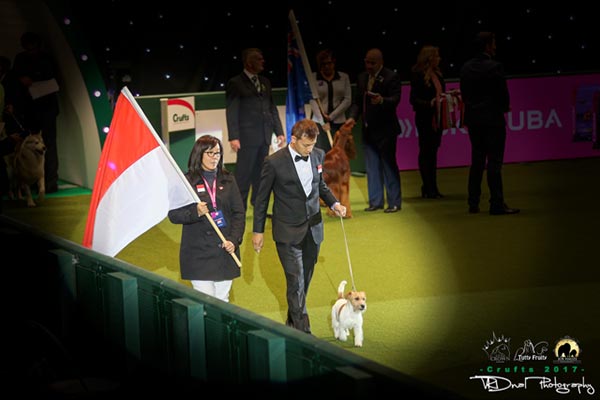 Anjing Indonesia Berlaga Di Cruft & Eukanuba 2017