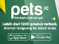 Aplikasi Terlengkap untuk Hewan Peliharaanmu