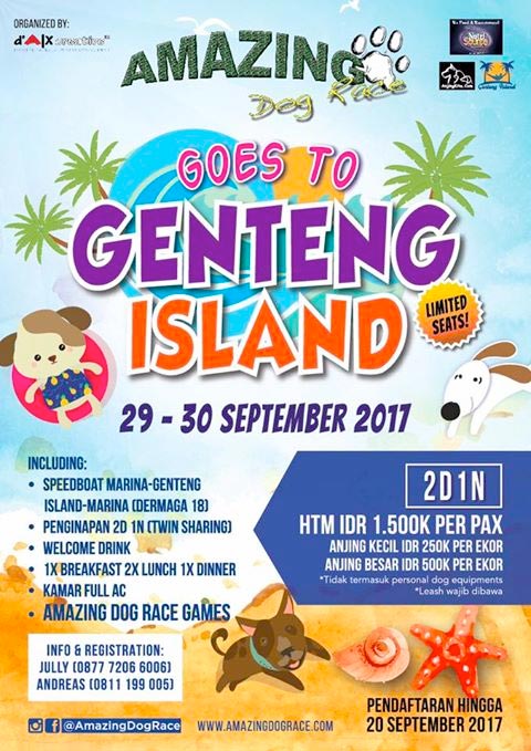 Amazing Dog Race Goes to Genteng Island