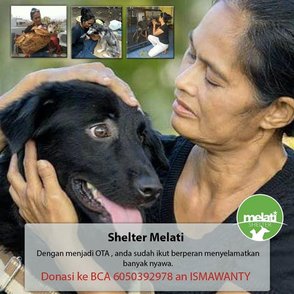 Shelter Melati 