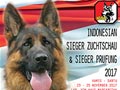 Indonesian Sieger Prufung & Zuchtschau 2017