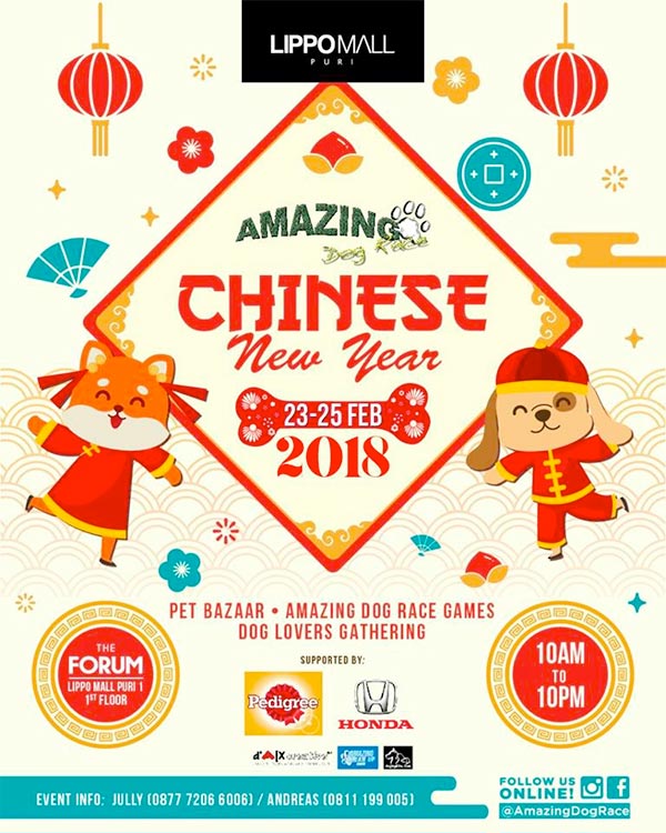 AMAZING Chinese New Year Edition 2018