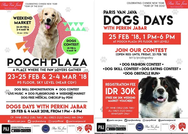 Bandung Celebrating Year of The Dog