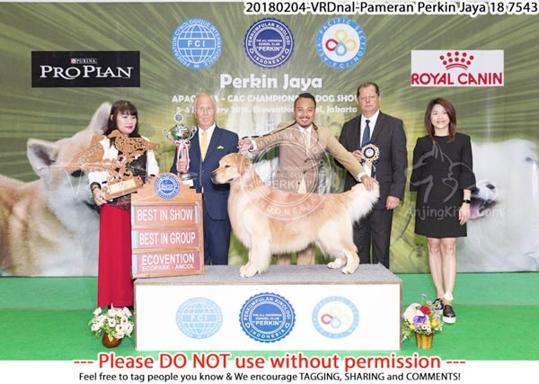 Foto & Video Pameran Perkin Jaya 