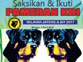 Pameran Anjing Rottweiler Jateng & Jogjakarta