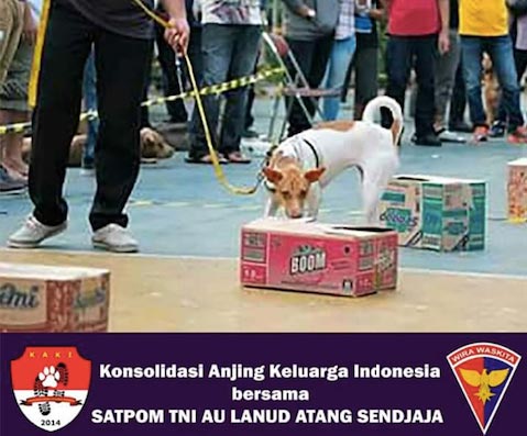 Lokakarya Melatih Anjing Pendeteksi