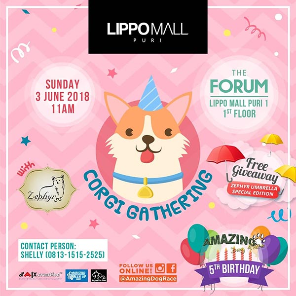 Corgi Gathering JABODETABEK