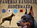 Pameran Nasional Klub Dobermann Indonesia 2018
