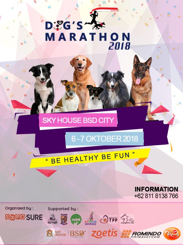 Dog Marathon 2018 @Sky House BSD City BATAL