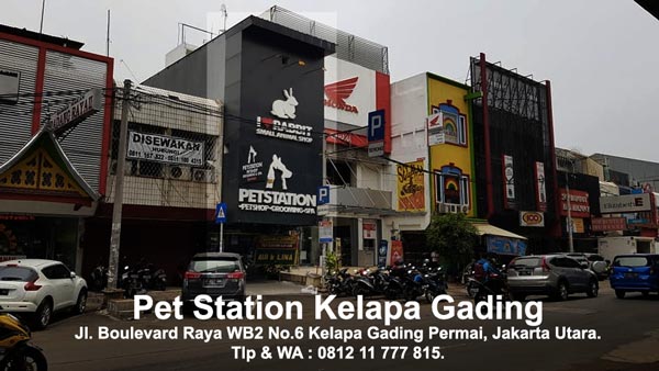 Telah Dibuka Pet Station Kelapa Gading Permai