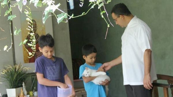 Dinas KPKP DKI: Tak Ada Razia Anjing dan Kucing Hari Ini