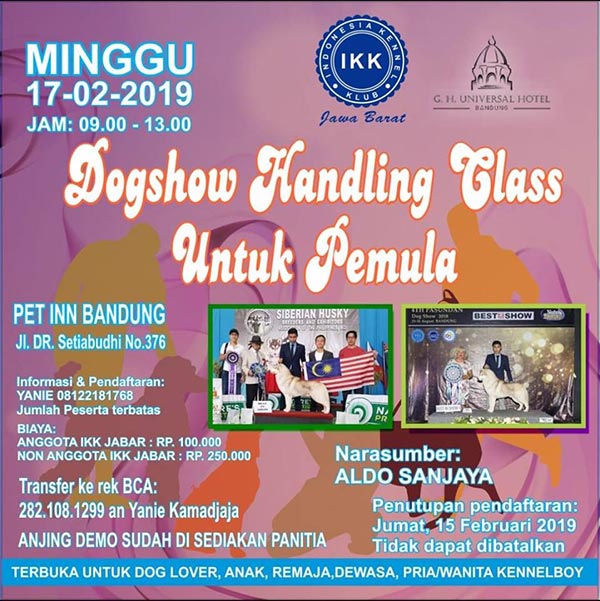 Dog Show Handling Class Untuk Pemula