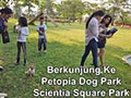 Berkunjung Ke Taman Anjing PETOPIA