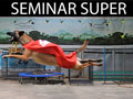 Seminar Super