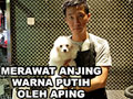 Menjaga Bulu Anjing Warna Putih Oleh Aping Pet Station KGP