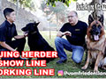 Anjing Herder Super Besar - Vom Friedensland