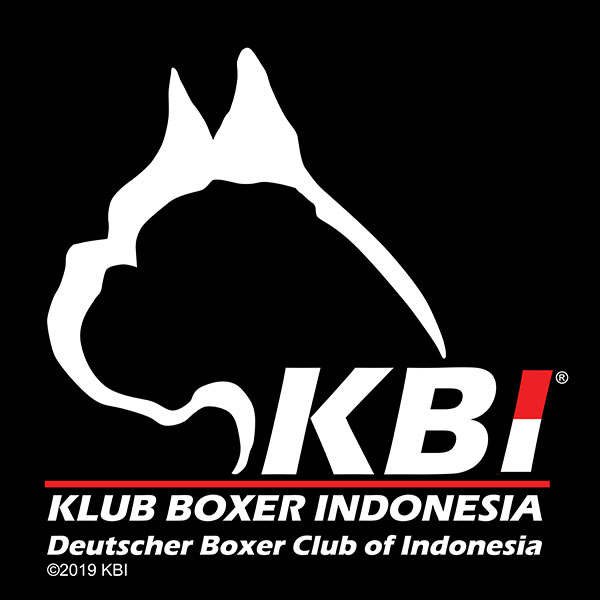 Klub Boxer Indonesia