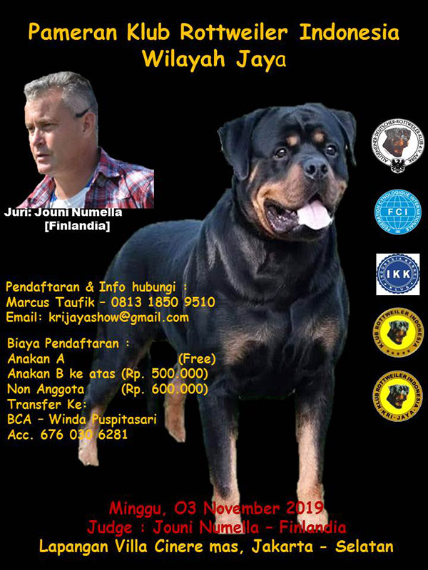 Pameran Anjing Rottweiler KRI Jaya 2019