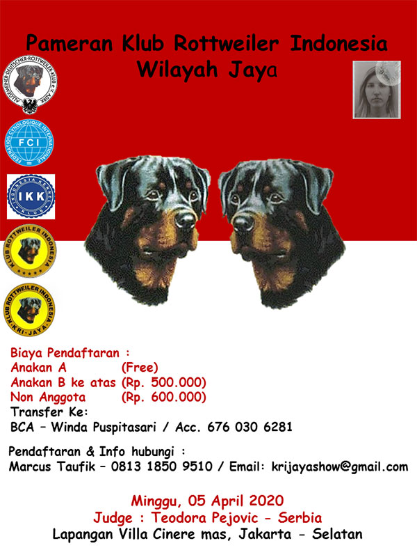 Pameran Anjing Rottweiler KRI Jaya