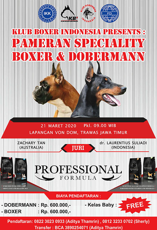 Pameran Speciality Boxer & Dobermann Jatim 2020